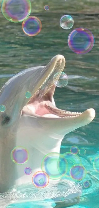 Playful dolphin catching bubbles in clear blue water.