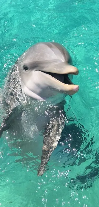 A friendly dolphin swimming in turquoise waters, capturing ocean beauty.