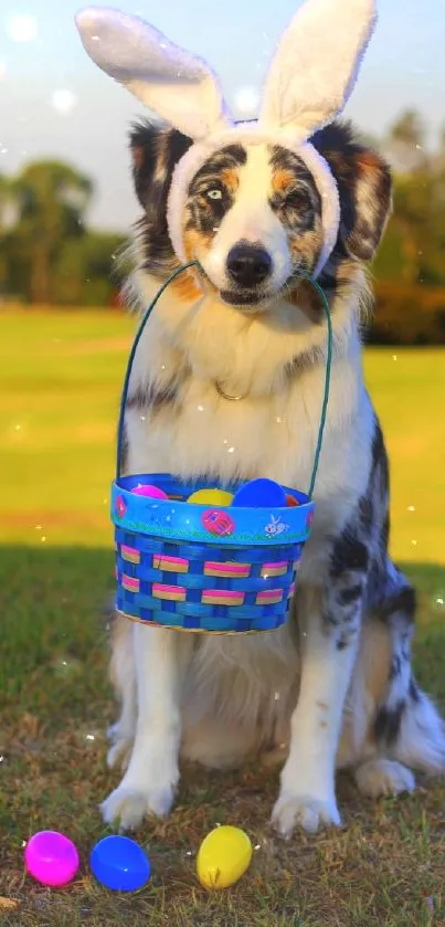 Cute dog with bunny ears and Easter basket on green grass.