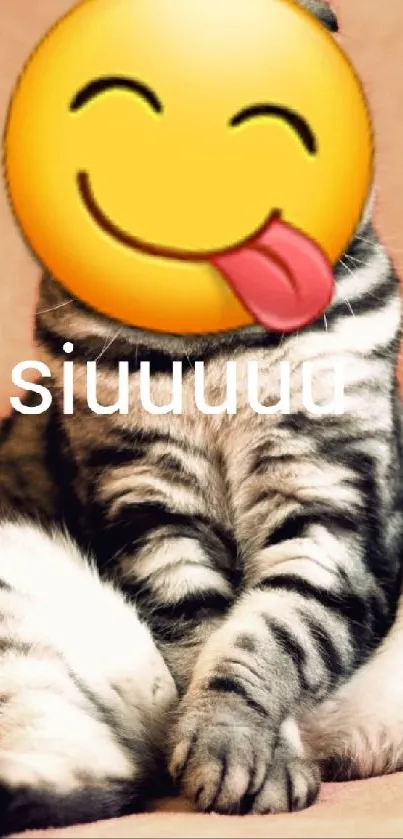 Cute cat with emoji face on beige background, playful wallpaper.