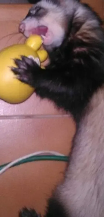 Cute ferret playing with yellow toy on mobile wallpaper.