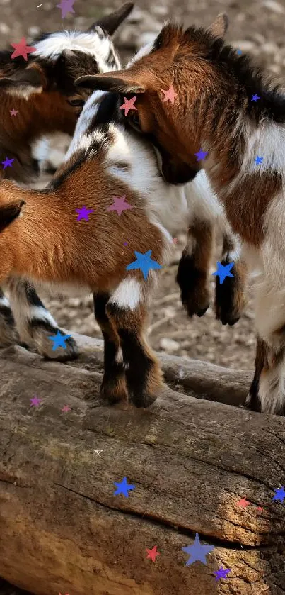 Playful goats on a wooden log in nature.