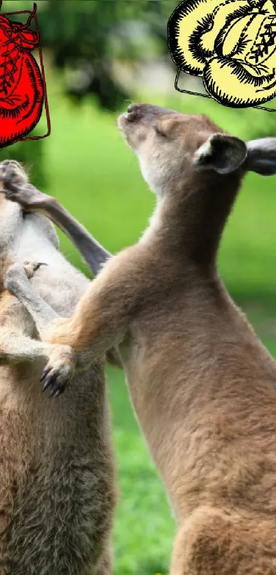 Two kangaroos playfully boxing in green scenery.