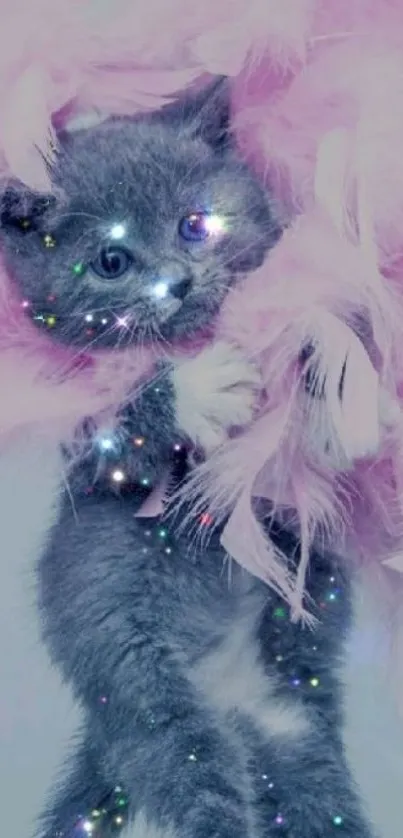 Cute gray kitten with pink feathers and sparkles in a playful pose.