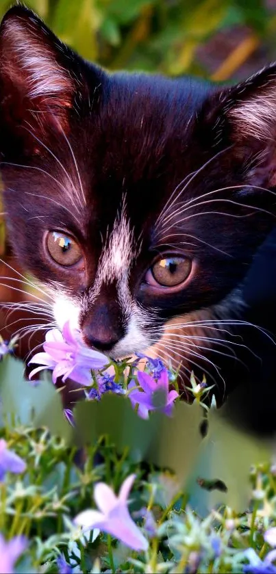 Cute kitten sniffing purple flowers in a vibrant garden.