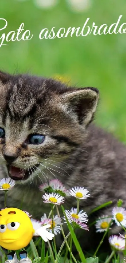 A cute kitten playing in a green meadow filled with daisies.