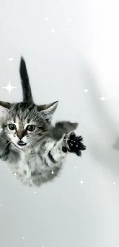 Adorable kitten jumping in mid-air with paws outstretched.