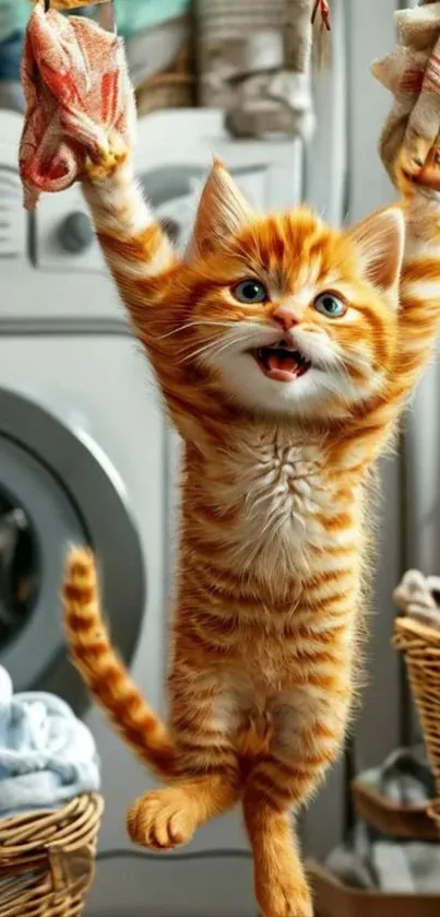 A playful orange tabby kitten hanging in a laundry room setting.