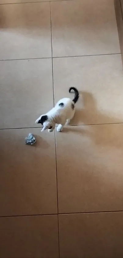 Playful kitten on beige tiled floor with shadow.