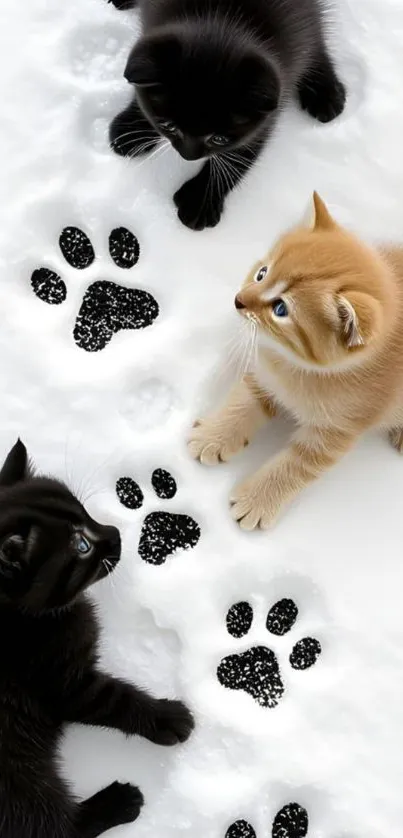 Three playful kittens on snow with paw prints.