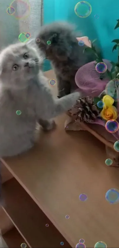 Two fluffy kittens play amidst colorful bubbles on a wooden table.