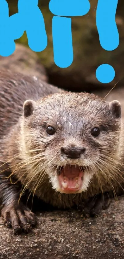 Playful otter with 'Hi!' text on rock.