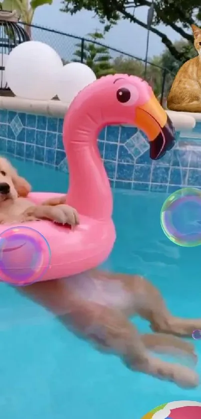 Puppy in flamingo float with cat by the pool.