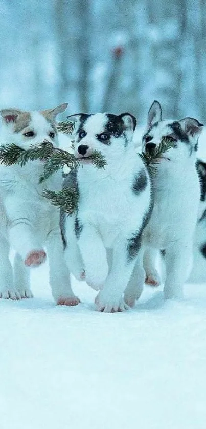 Three playful puppies in a snowy winter landscape.