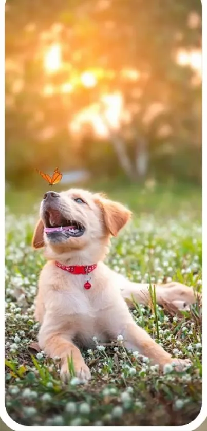 Playful puppy with butterfly in nature field.