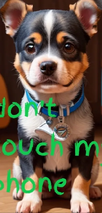 Adorable puppy with green text saying 'don't touch my phone' on a warm background.