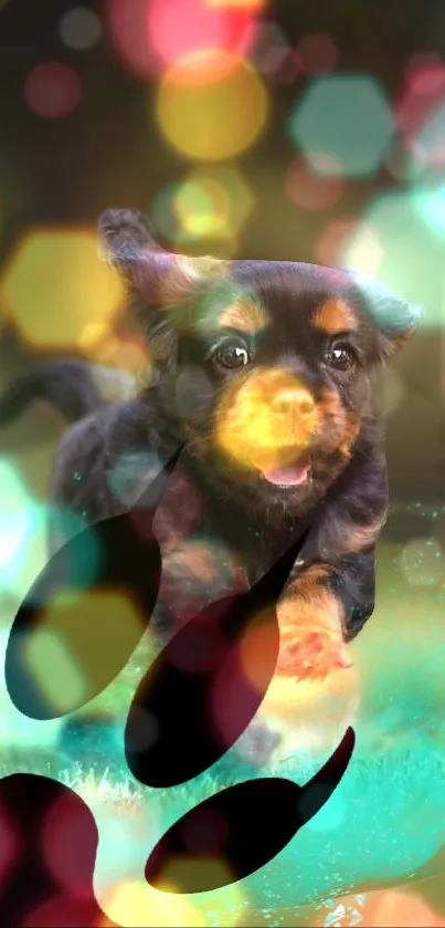 Playful puppy with bokeh light effects on mobile wallpaper.