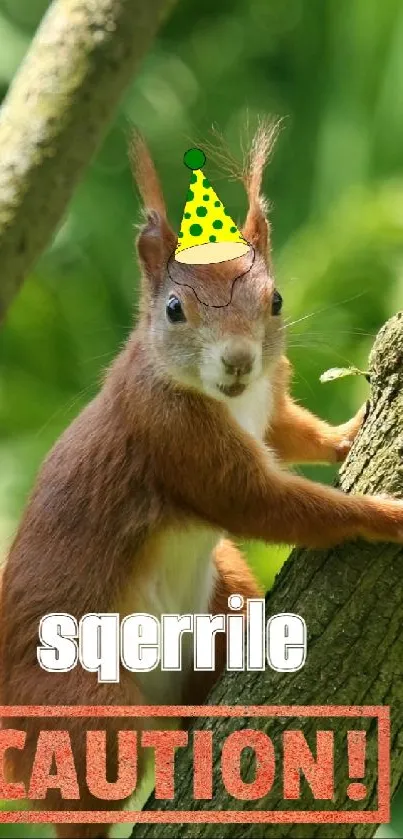 Squirrel with a party hat climbing a tree in a green forest.