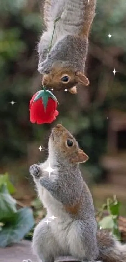 Two playful squirrels with a red flower.