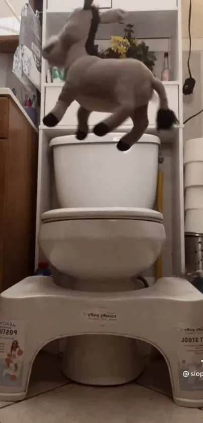 Whimsical bathroom with floating donkey toy above the toilet.