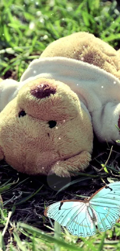 Teddy bear lying on grass with a butterfly nearby, perfect mobile wallpaper.