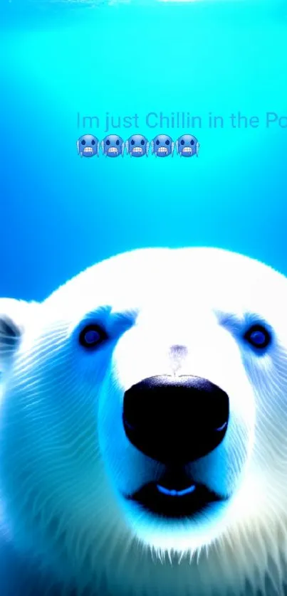 Polar bear chilling in vibrant blue pool on a mobile wallpaper.