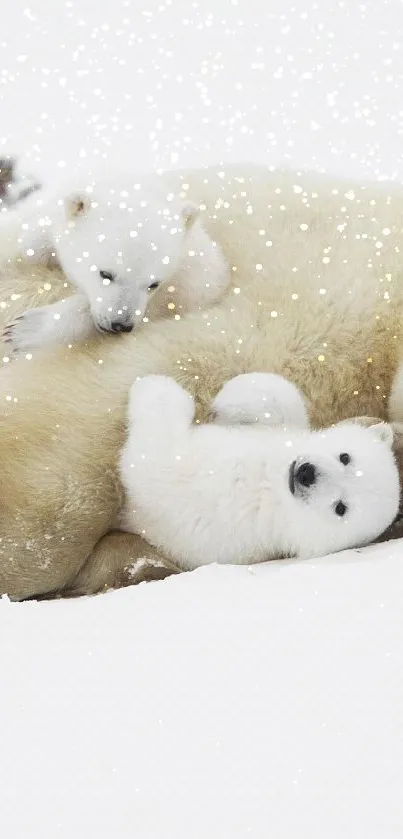 Polar bear family with cubs in snow, serene nature scene.