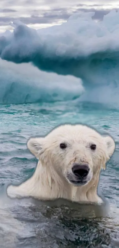 Polar bear swimming among icy Arctic waters and icebergs.