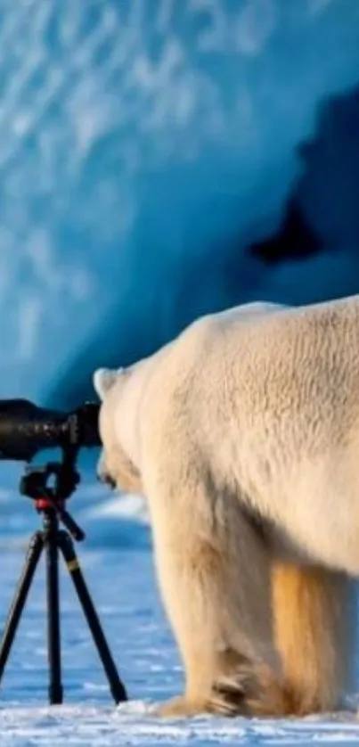 Polar bear with camera tripod in icy landscape.