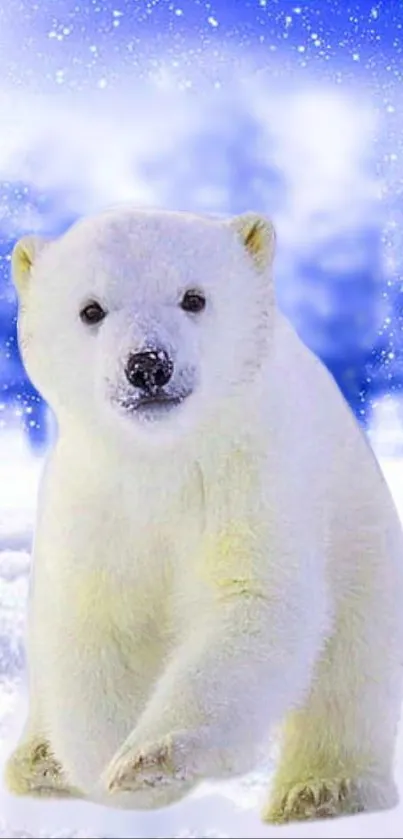 Polar bear in a snowy landscape with a blue sky background.