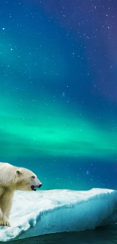 Polar bears on ice under northern lights.