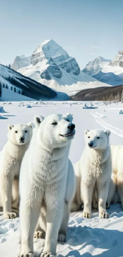 Polar bears in front of snowy mountains with clear blue skies.