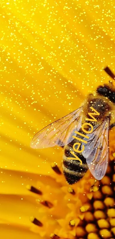 bee Live Wallpaper