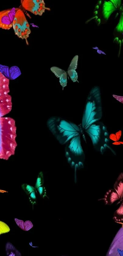 Pollinator Butterfly Insect Live Wallpaper