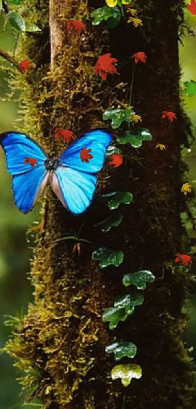 Pollinator Insect Butterfly Live Wallpaper