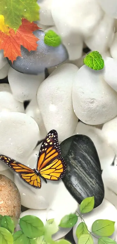 Pollinator Insect Butterfly Live Wallpaper