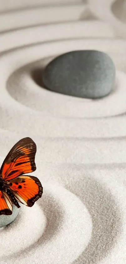 Butterflies at the Beach Live Wallpaper