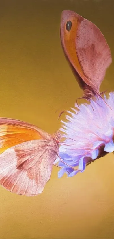 Butterfly  Live Wallpaper
