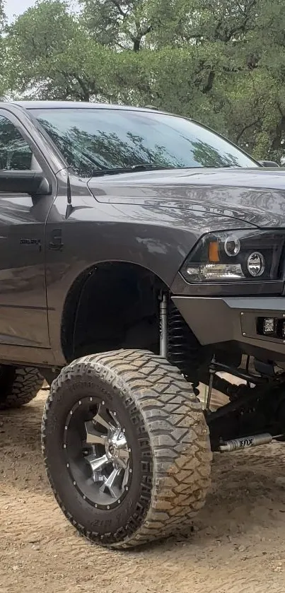 Powerful off-road truck in rugged terrain.