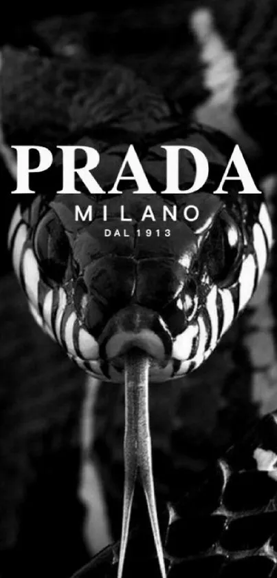 Monochrome Prada snake wallpaper for mobile.