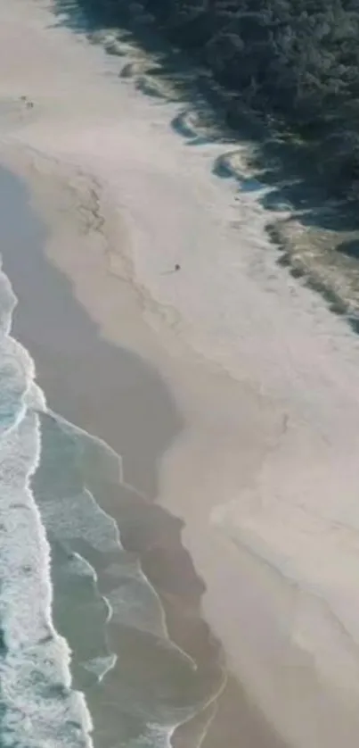 Aerial view of a pristine beach with gentle waves and sandy shoreline.