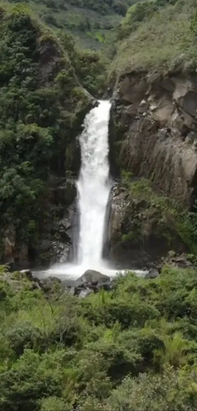 A serene waterfall amidst lush green forest landscape.