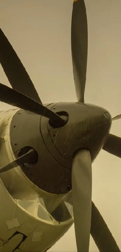 Close-up view of an aircraft propeller.