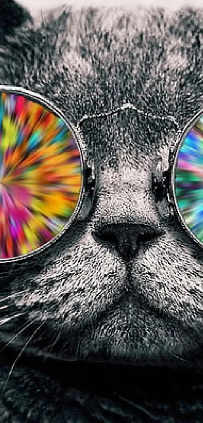 Cat wearing colorful psychedelic glasses on gray background.