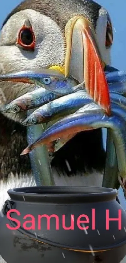 Puffin holding fish with artistic black pot.