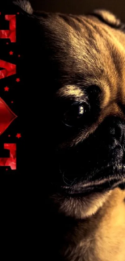 Pug with 'LOVE' text on dark wallpaper.