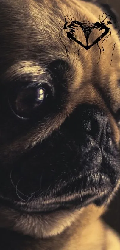 Silhouette of a pug's face in dark lighting, perfect for phone wallpaper.