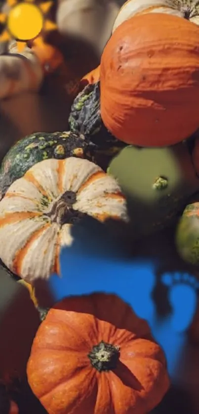 Close-up of vibrant orange and green pumpkins in an autumn setting.