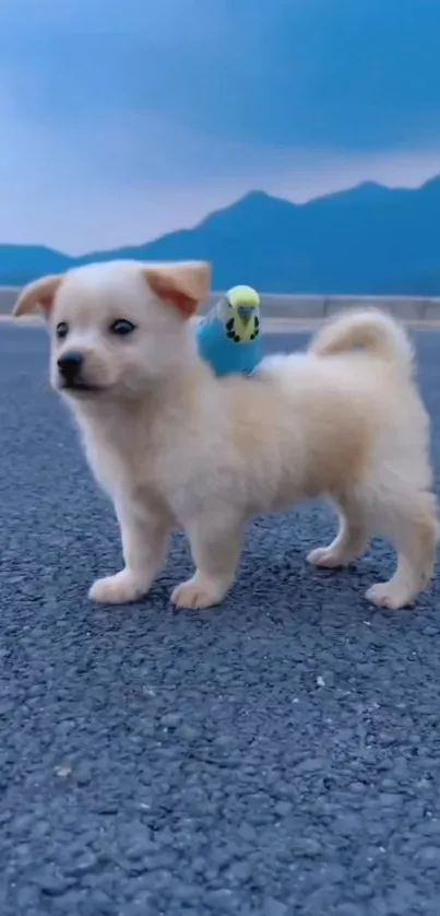 Cute fluffy white puppy with blue bird on scenic background.