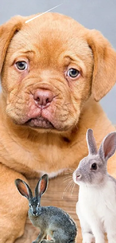 Puppy and two bunnies in a wooden box, adorable wallpaper.